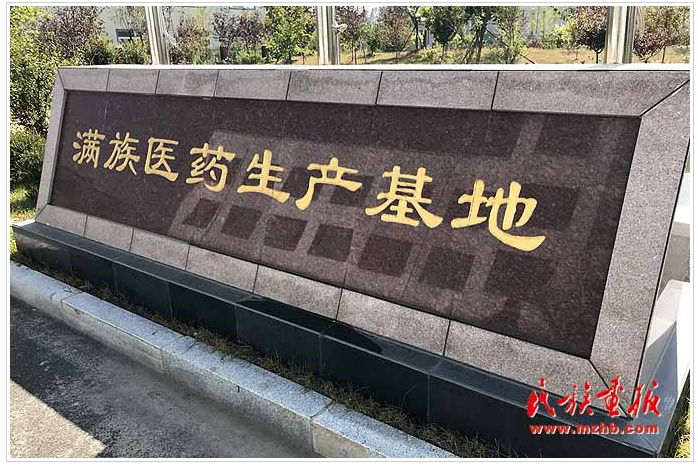 滿族醫藥崛起 帶動農民增收